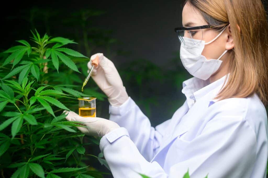 CBD