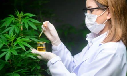 CBD